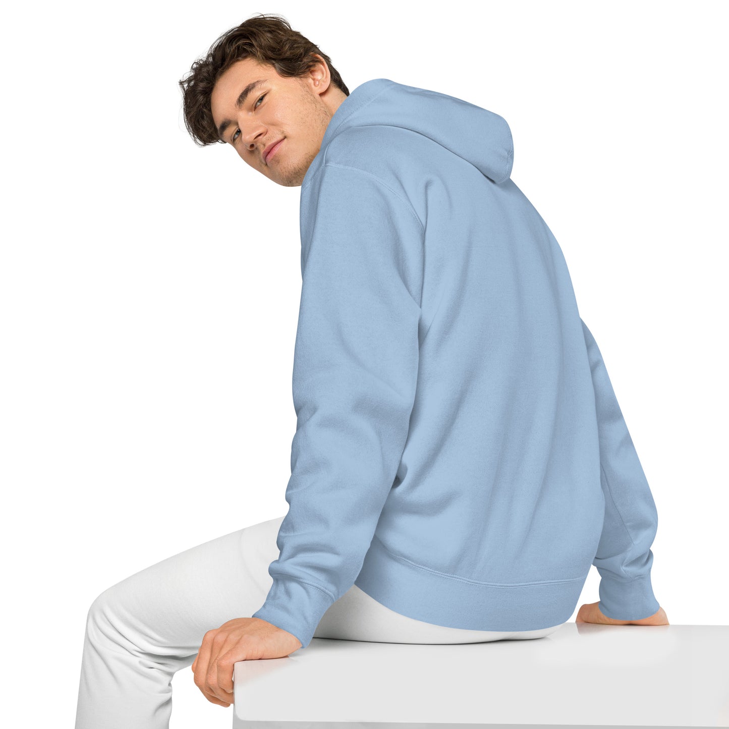 Embroidery Abraham Lincoln Premium Hoodie