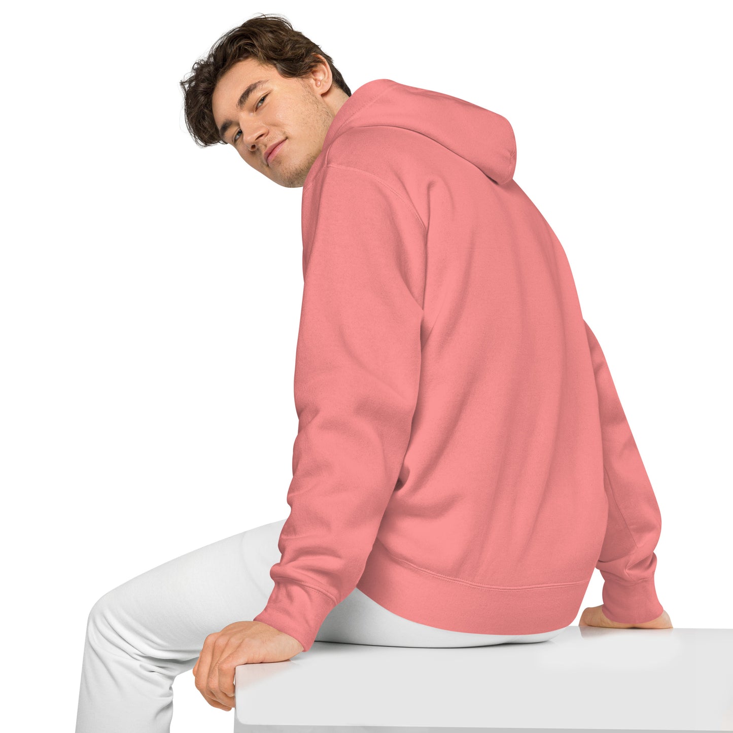 Embroidery Embargo Securities Hoodie